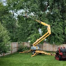 Best Tree Maintenance Programs  in Fords, NJ