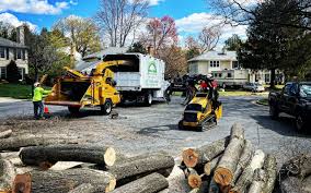  Fords, NJ Tree Services Pros
