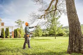 Best Tree Preservation Services  in Fords, NJ