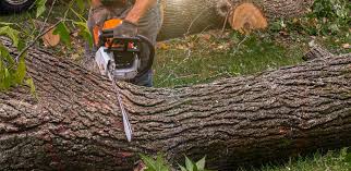 Best Aeration Services  in Fords, NJ